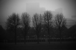 The warmth of melancholy, Vienna